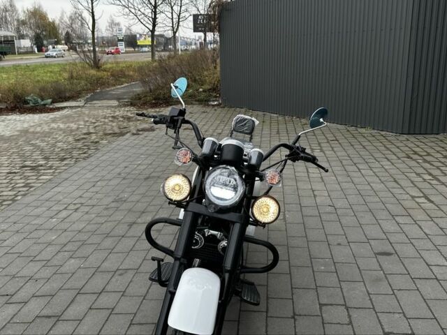 Rider Інша, об'ємом двигуна 0.25 л та пробігом 0 тис. км за 1860 $, фото 7 на Automoto.ua