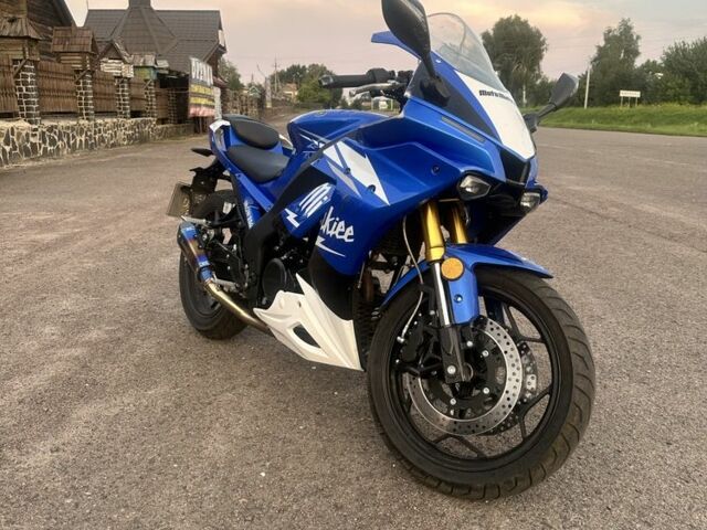 Rider Другая, объемом двигателя 0.25 л и пробегом 0 тыс. км за 1500 $, фото 7 на Automoto.ua