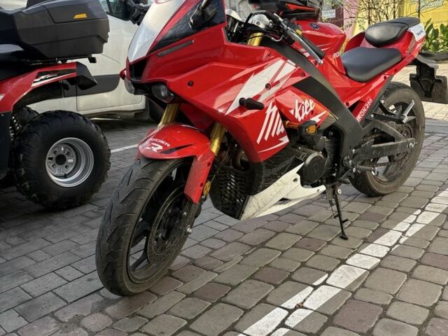 Rider Другая, объемом двигателя 0.25 л и пробегом 0 тыс. км за 2550 $, фото 3 на Automoto.ua