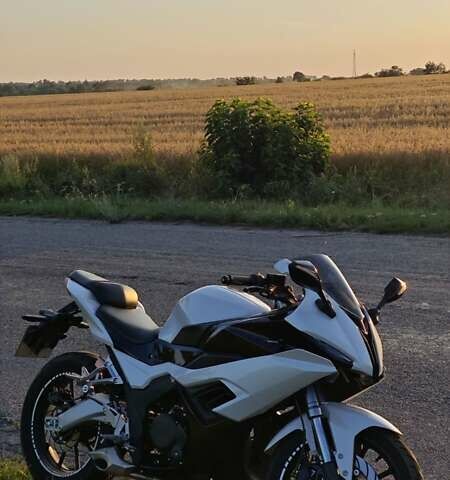 Белый Rider RR 250CC, объемом двигателя 0.25 л и пробегом 3 тыс. км за 2000 $, фото 2 на Automoto.ua