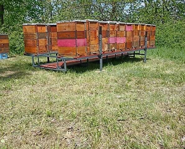 Сірий СамСобіПан АКМ-500, об'ємом двигуна 0 л та пробігом 1 тис. км за 1212 $, фото 2 на Automoto.ua