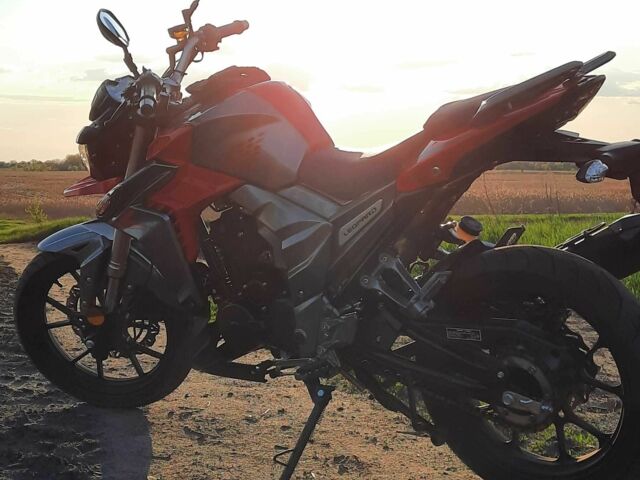 Senke Другая, объемом двигателя 0.25 л и пробегом 0 тыс. км за 70000 $, фото 5 на Automoto.ua
