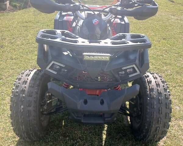 Черный Shark 300 Titan, объемом двигателя 0 л и пробегом 166 тыс. км за 35600 $, фото 11 на Automoto.ua