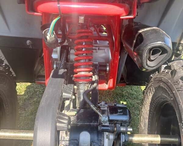 Черный Shark 300 Titan, объемом двигателя 0 л и пробегом 166 тыс. км за 35600 $, фото 5 на Automoto.ua