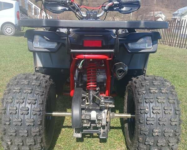 Черный Shark 300 Titan, объемом двигателя 0 л и пробегом 166 тыс. км за 35600 $, фото 9 на Automoto.ua