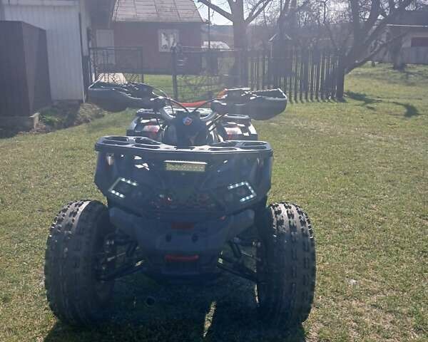 Черный Shark 300 Titan, объемом двигателя 0 л и пробегом 166 тыс. км за 35600 $, фото 8 на Automoto.ua