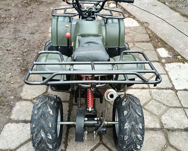 Серый Shark 300 Titan, объемом двигателя 0.3 л и пробегом 2 тыс. км за 3300 $, фото 27 на Automoto.ua