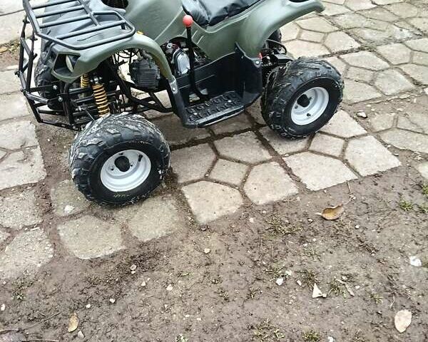 Серый Shark 300 Titan, объемом двигателя 0.3 л и пробегом 2 тыс. км за 3300 $, фото 21 на Automoto.ua