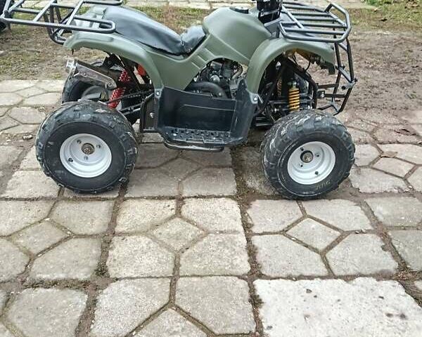 Серый Shark 300 Titan, объемом двигателя 0.3 л и пробегом 2 тыс. км за 3300 $, фото 23 на Automoto.ua