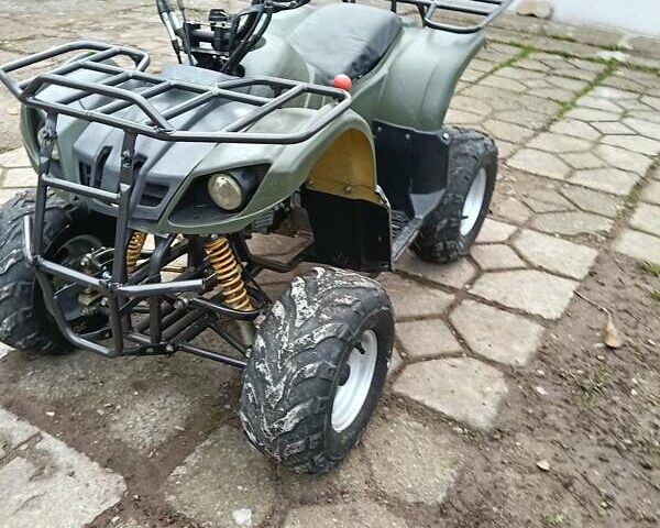 Серый Shark 300 Titan, объемом двигателя 0.3 л и пробегом 2 тыс. км за 3300 $, фото 18 на Automoto.ua