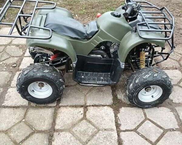 Серый Shark 300 Titan, объемом двигателя 0.3 л и пробегом 2 тыс. км за 3300 $, фото 22 на Automoto.ua