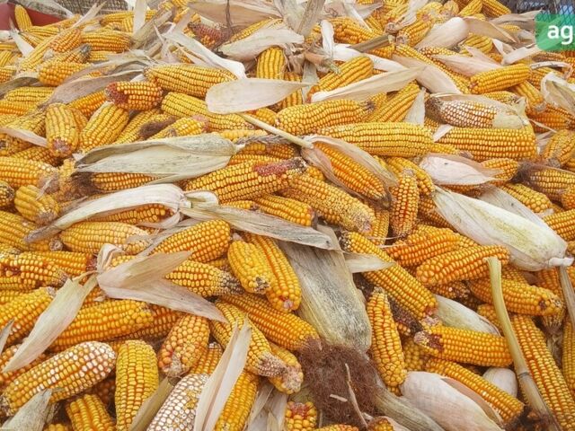 SIP Tornado 80, объемом двигателя 0 л и пробегом 0 тыс. км за 9300 $, фото 2 на Automoto.ua