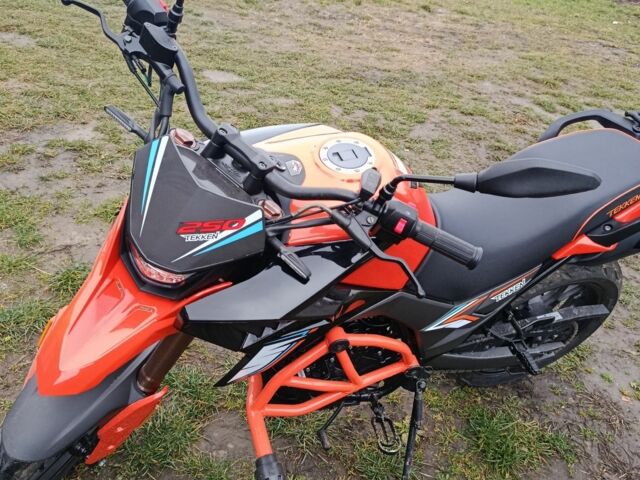 Tekken 250, объемом двигателя 0.25 л и пробегом 0 тыс. км за 1500 $, фото 1 на Automoto.ua