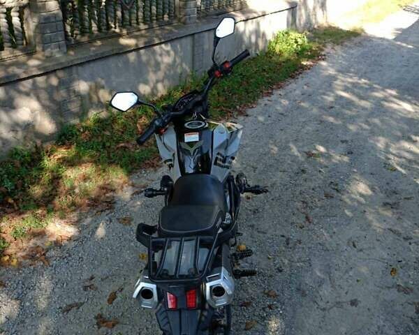 Серый Tekken 250, объемом двигателя 0 л и пробегом 8 тыс. км за 1499 $, фото 2 на Automoto.ua