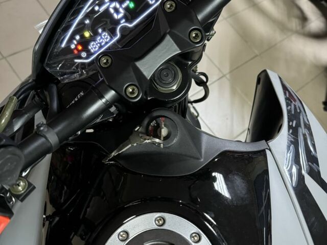 Tekken 300, об'ємом двигуна 0.3 л та пробігом 0 тис. км за 1890 $, фото 21 на Automoto.ua