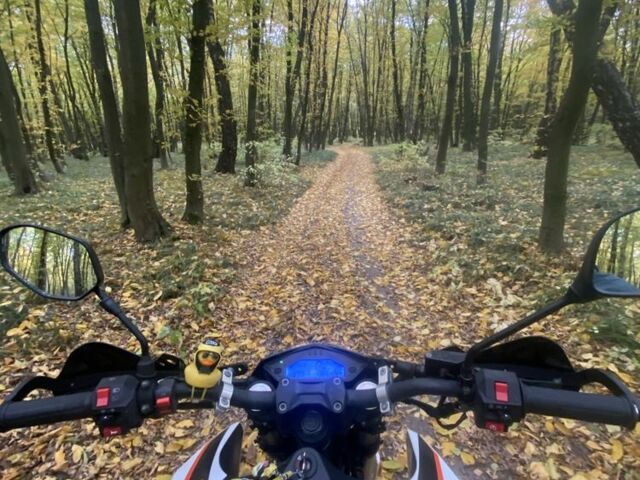 Tekken 250, объемом двигателя 0.22 л и пробегом 0 тыс. км за 1600 $, фото 3 на Automoto.ua