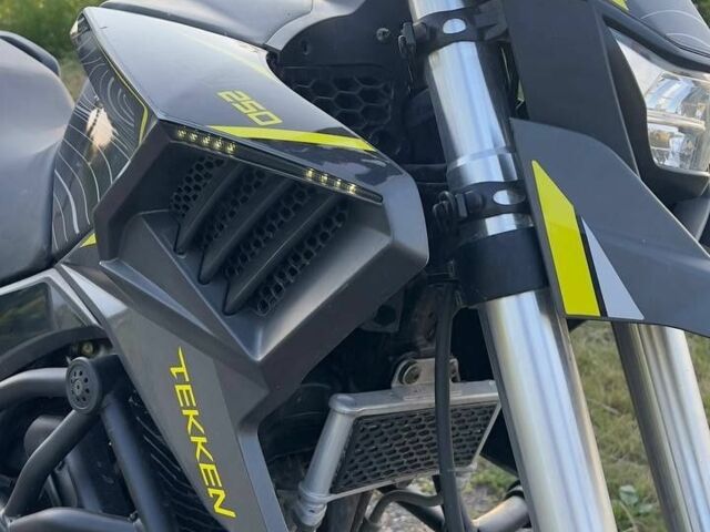 Tekken 250, объемом двигателя 0.25 л и пробегом 0 тыс. км за 1498 $, фото 4 на Automoto.ua