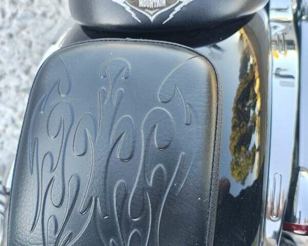 Черный Thunder Mountain Spitfire, объемом двигателя 1.2 л и пробегом 4 тыс. км за 13900 $, фото 8 на Automoto.ua