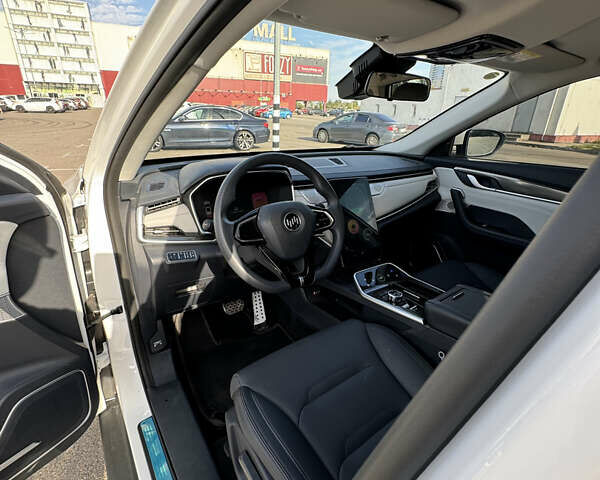 Білий Weltmeister EX5, об'ємом двигуна 0 л та пробігом 6 тис. км за 19500 $, фото 15 на Automoto.ua