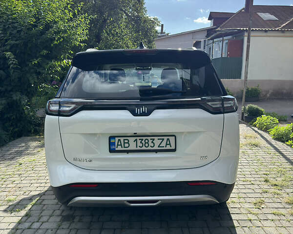 Weltmeister W6 2021 в Виннице на Automoto.ua Белый Weltmeister W6, объемом двигателя 0 л и пробегом 18 тыс. км за 19000 $, фото 6 на Automoto.ua