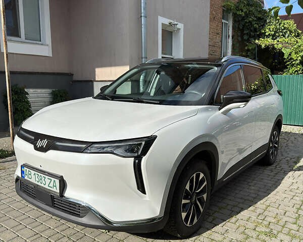Weltmeister W6 2021 в Виннице на Automoto.ua Белый Weltmeister W6, объемом двигателя 0 л и пробегом 18 тыс. км за 19000 $, фото 3 на Automoto.ua