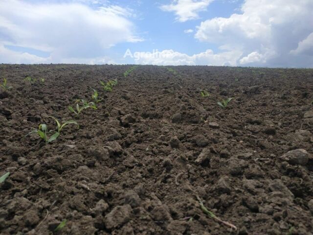 Черный Yetter 3530, объемом двигателя 0 л и пробегом 0 тыс. км за 21011 $, фото 4 на Automoto.ua