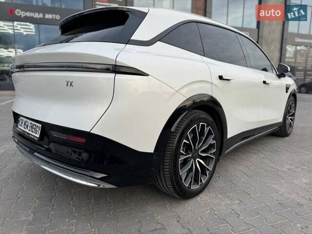 Белый Zeekr 7X, объемом двигателя 0 л и пробегом 10 тыс. км за 43500 $, фото 6 на Automoto.ua