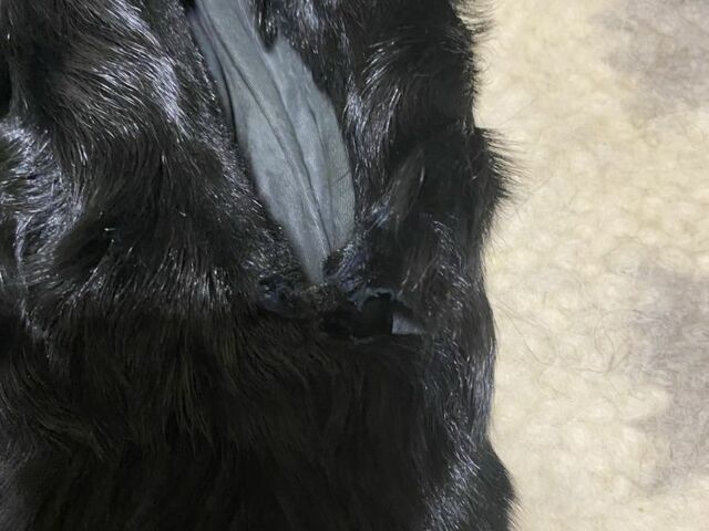 Zuumav Другая, объемом двигателя 0 л и пробегом 0 тыс. км за 10 $, фото 6 на Automoto.ua