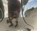 Черный Равон Р2, объемом двигателя 1.2 л и пробегом 54 тыс. км за 7000 $, фото 7 на Automoto.ua
