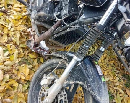 Rider Інша, об'ємом двигуна 0.25 л та пробігом 0 тис. км за 700 $, фото 3 на Automoto.ua