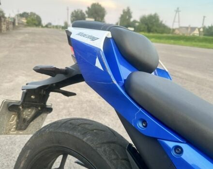 Rider Другая, объемом двигателя 0.25 л и пробегом 0 тыс. км за 1650 $, фото 6 на Automoto.ua