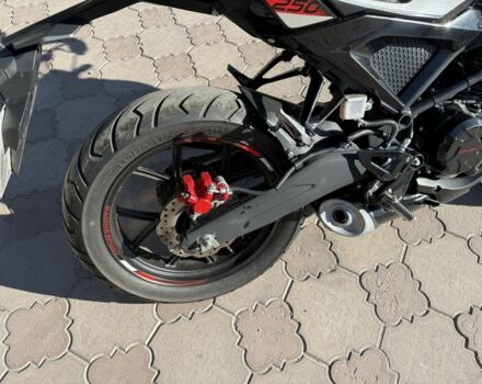 Rider Другая, объемом двигателя 0.25 л и пробегом 0 тыс. км за 1375 $, фото 8 на Automoto.ua