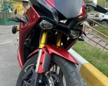 Rider Другая, объемом двигателя 0.25 л и пробегом 0 тыс. км за 1950 $, фото 4 на Automoto.ua