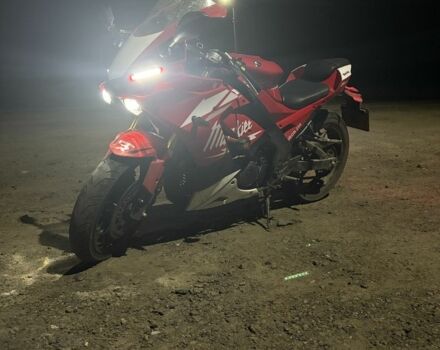 Rider Другая, объемом двигателя 0.25 л и пробегом 0 тыс. км за 2550 $, фото 6 на Automoto.ua