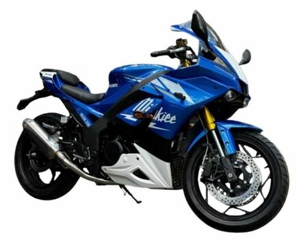 Rider Інша, об'ємом двигуна 0.25 л та пробігом 0 тис. км за 2320 $, фото 5 на Automoto.ua