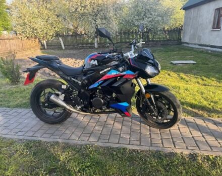 Rider Другая, объемом двигателя 0.25 л и пробегом 0 тыс. км за 1800 $, фото 4 на Automoto.ua