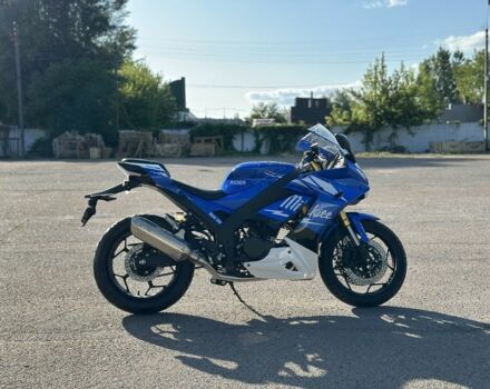 Rider Другая, объемом двигателя 0.25 л и пробегом 0 тыс. км за 2408 $, фото 8 на Automoto.ua