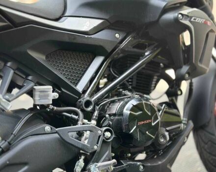 Rider Другая, объемом двигателя 0.25 л и пробегом 0 тыс. км за 2024 $, фото 3 на Automoto.ua