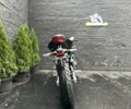 Rider Другая, объемом двигателя 0.25 л и пробегом 0 тыс. км за 100700 $, фото 7 на Automoto.ua