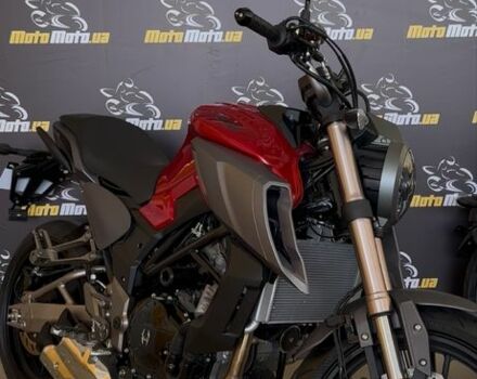 Rider Другая, объемом двигателя 0.25 л и пробегом 0 тыс. км за 1816 $, фото 2 на Automoto.ua