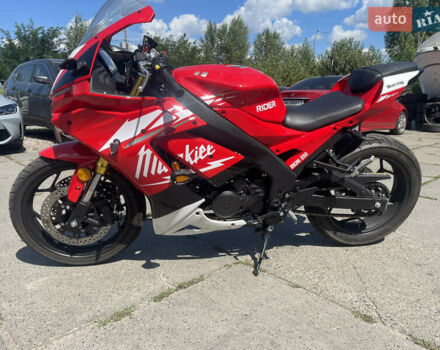 Красный Rider Iron 250, объемом двигателя 0.25 л и пробегом 1 тыс. км за 2300 $, фото 1 на Automoto.ua