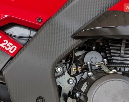 Rider Iron 250, об'ємом двигуна 0.25 л та пробігом 0 тис. км за 2270 $, фото 14 на Automoto.ua