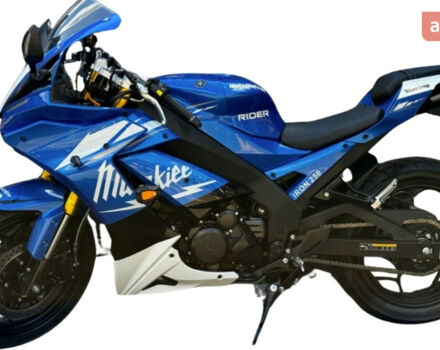 Rider Iron 250, об'ємом двигуна 0.25 л та пробігом 0 тис. км за 2270 $, фото 16 на Automoto.ua