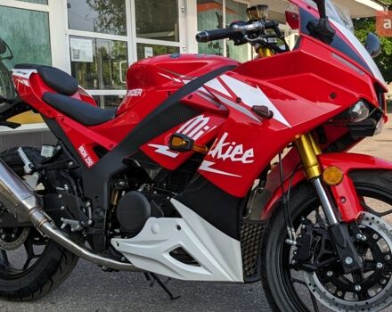 Rider Iron 250, об'ємом двигуна 0.25 л та пробігом 0 тис. км за 2270 $, фото 1 на Automoto.ua