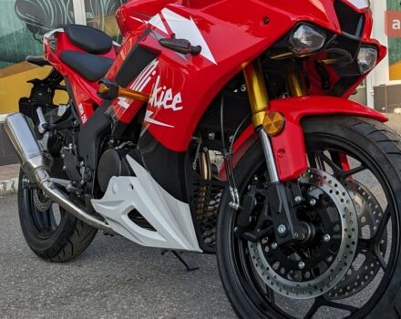 Rider Iron 250, об'ємом двигуна 0.25 л та пробігом 0 тис. км за 2270 $, фото 2 на Automoto.ua