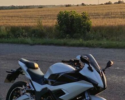 Белый Rider RR 250CC, объемом двигателя 0.25 л и пробегом 3 тыс. км за 2000 $, фото 2 на Automoto.ua