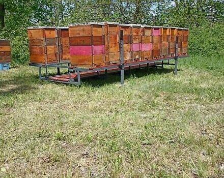 Серый СамСобіПан АКМ-500, объемом двигателя 0 л и пробегом 1 тыс. км за 1212 $, фото 2 на Automoto.ua