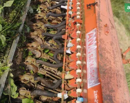 Saxonia A200, об'ємом двигуна 0 л та пробігом 0 тис. км за 1300 $, фото 2 на Automoto.ua