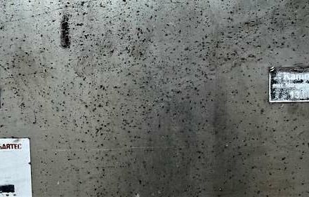 Schrader Z-STA 24 2004 в Львове на Automoto.ua Серый Schrader Z-STA 24, объемом двигателя 0 л и пробегом 1 тыс. км за 22458 $, фото 36 на Automoto.ua