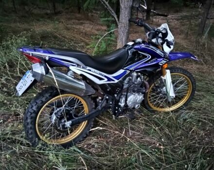 Синій Senke 3302, об'ємом двигуна 0.2 л та пробігом 0 тис. км за 950 $, фото 2 на Automoto.ua